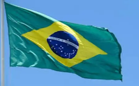 البرازيل تنضم لدعوى الإبادة الجماعية ضد إسرائيل في محكمة العدل الدولية