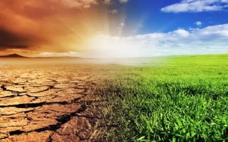 الصحافة في مواجهة أزمة المناخ.. ختام ورشة تدريبية إقليمية بمشاركة عربية واسعة