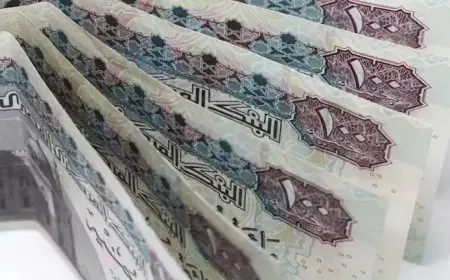 الأعلى في بنوك مصر.. أسعار العائد على الشهادات في بنكي الأهلي ومصر