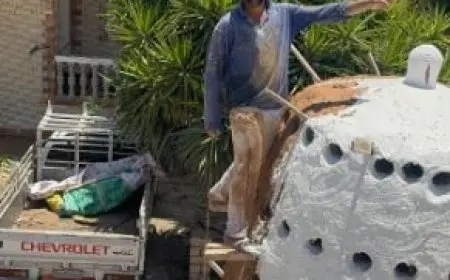 من الفراعنة إلى العالمية.. أبو مازن ينقل حرفة أبراج الحمام إلى فرنسا