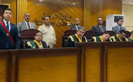 الجنايات وأمن الدولة تُصدر حكمًا بالسجن 10 سنوات على إرهابي من ولاية سيناء