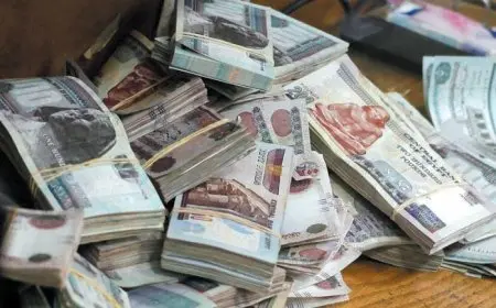 ودائع البنوك لدى البنك المركزي تتراجع 11.9% فى أغسطس وتسجل 893 مليار جنيه بضغط خفض الفائدة