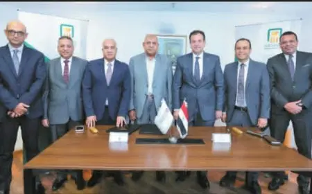 البنك الأهلى المصرى يبرم بروتوكول تعاون مع «أجروفود» لتجارة الأقطان وإنتاج التقاوى