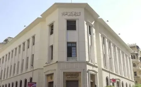 البنوك تستثمر 7.113 تريليون جنيه فى أدوات الدين الحكومى خلال النصف الأول من 2025