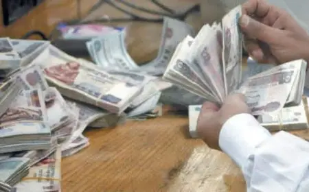 36 مليار جنيه زيادة فى المخصصات المصرفية لمجابهة تعثرات محتملة بنهاية النصف الأول من العام الجارى