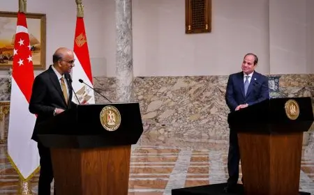 السيسي: إمكانيات مصر وسنغافورة تؤهل لشراكة اقتصادية إقليمية تمتد إلى إفريقيا