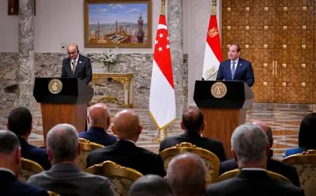 السيسي: لا سلام أو استقرار في المنطقة دون منح الشعب الفلسطيني حقوقه المشروعة