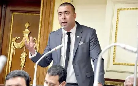 رئيس برلمانية حماة الوطن: حصدنا ربع مقاعد الشيوخ.. وأتوقع ارتفاع نسبة المشاركة بانتخابات النواب