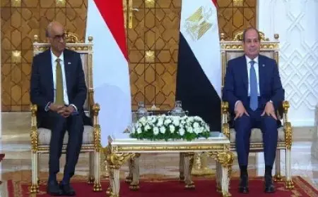 السيسي يشهد توقيع مذكرة تفاهم بين الأكاديمية الوطنية للتدريب وكلية الخدمة المدنية السنغافورية لتعزيز التعاون في بناء القدرات