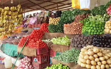 12 جنيهًا لكيلو الطماطم.. أسعار الخضروات والفاكهة في سوق العبور اليوم