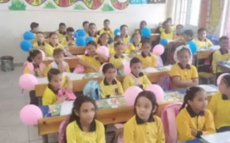 المدارس تستقبل تلاميذ الصفوف الأولى بالبلالين وتزيين الفصول