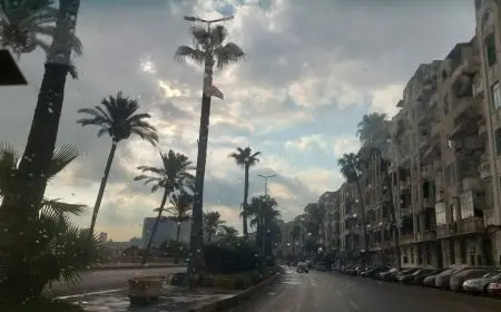 سقوط أمطار خفيفة بالإسكندرية