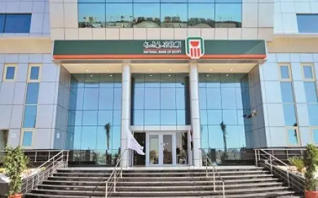 البنك الأهلي المصري يحقق صافي أرباح بقيمة 133.3 مليار جنيه خلال 2024
