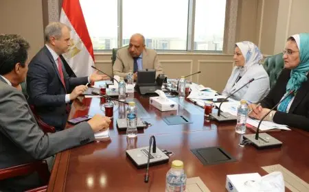 وزير الكهرباء يبحث مع مسئولي الكازار الإماراتية زيادة استثماراتهم في مجالات الطاقة المتجددة