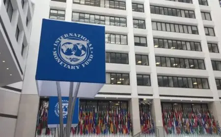 الانسحاب “كلام شعبوي”.. هل تنجح مصر في الخروج من عباءة صندوق النقد؟.. خبراء يوضحون