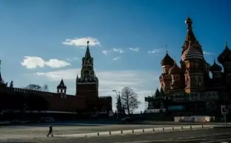 الكرملين: نتوقع من ترامب بذل جهود للتوصل إلى تسوية سلمية في أوكرانيا