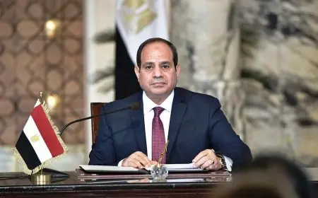 بعد إعادة الرئيس السيسي مشروع الإجراءات الجنائية للبرلمان.. ما أبرز الموضوعات محل التعديل؟ وهل هي السابقة الأولى؟