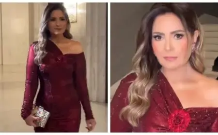 صابرين تخطف الأنظار بفستان أنيق وجذاب في حفل “دير جيست” (فيديو وصور)