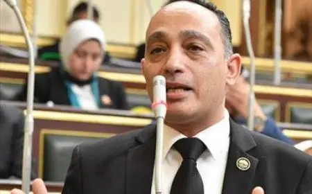 فريدي البياضي: رد الرئيس مشروع قانون الإجراءات الجنائية لمجلس النواب انحياز لجانب المعارضة