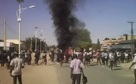 مصر تدين الهجوم على مسجد بمدينة الفاشر في السودان