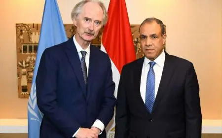 وزير الخارجية للمبعوث الأممي إلى سوريا: ندين بأشد العبارات الانتهاكات الإسرائيلية المستمرة للسيادة السورية