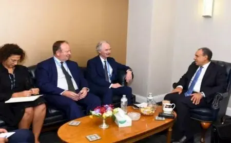 مصر تؤكد دعمها لدور الأمم المتحدة في رعاية العملية السياسية السورية