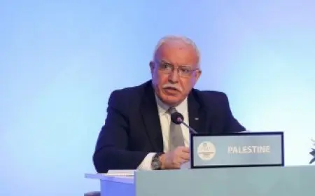 مندوب فلسطين بالأمم المتحدة: الاعترافات الدولية بالدولة لحظة تاريخية يجب البناء عليها