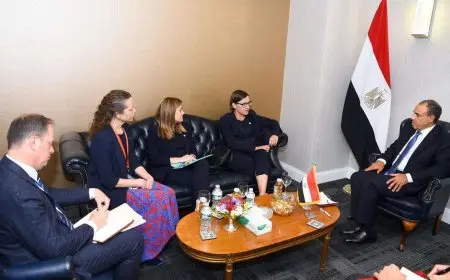 وزير الخارجية يحذر من خطورة تداعيات العمليات العسكرية على القطاع ومخطط التهجير الذى ترفضه مصر