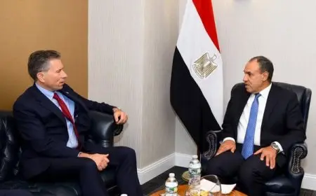 عبد العاطي: يجب المحاسبة على أعمال القتل والتدمير بحق الشعب الفلسطيني والعاملين في المجال الإنساني