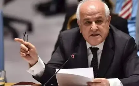 مندوب فلسطين يعتبر اعتراف مزيد من الدول ببلاده “لحظة تاريخية”