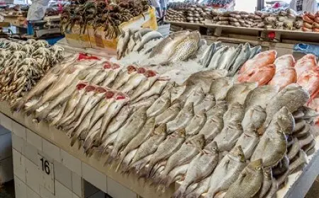 الاثنين 22 سبتمبر 2025.. أسعار الأسماك بسوق العبور للجملة اليوم