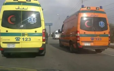 مصرع فتاة وإصابة 6 في تصادم ميكروباصين على طريق العوايد بالإسكندرية