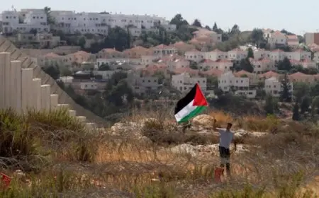 الاعترافات الدولية بـ فلسطين تجدد الحديث عن حل الدولتين.. فما هو؟