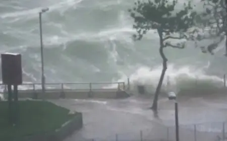 هونج كونج تعلق الدراسة يومي الثلاثاء والأربعاء بسبب إعصار راجاسا القوي