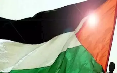 “الاشتراكي الفرنسي” يدعو لرفع العلم الفلسطيني على كل البلديات