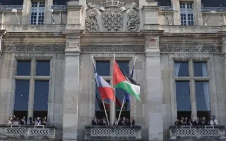 فيديو.. رفع علم فلسطين على واجهة مبنى بلدية سان دوني بفرنسا