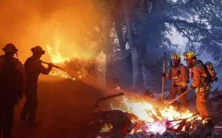 فرق الإطفاء السورية تكافح لإخماد حرائق كبيرة في غابات ريف اللاذقية