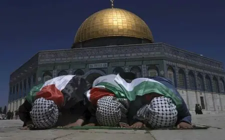 بعد اعترافها بدولة فلسطين.. بريطانيا توجه رسالة إلى مصر