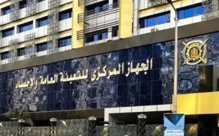 20.9% تراجعا فى أعداد العاملين الأجانب بالقطاع الحكومي والقطاع العام- الأعمال العام خلال 2024