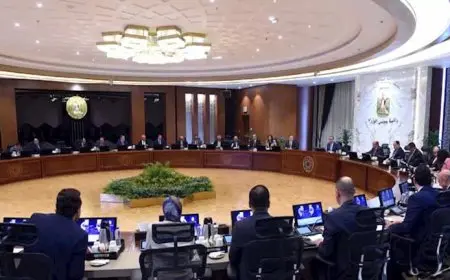 الحكومة تسعى لإطلاق منصة إلكترونية “مصر التجارية المتكاملة” لتبسيط سلاسل التوريد