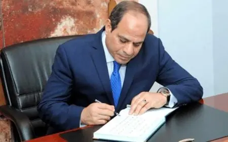 بينهم علاء عبد الفتاح.. الرئيس السيسي يصدر قرارا جمهوريا بالعفو عن عدد من المحكوم عليهم