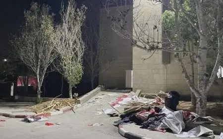 أستراليا: ادعاء إسرائيل انتظارها نتائج مفاوضات غزة غير واقعي