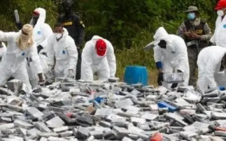 جمهورية الدومينيكان تعلن ضبط كوكايين على متن زورق سريع دمرته البحرية الأمريكية