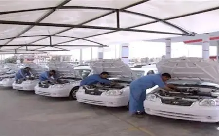 توفير سيارات تاكسي ومركبات نقل تعمل بالغاز الطبيعي للشباب في العام المالي الحالي