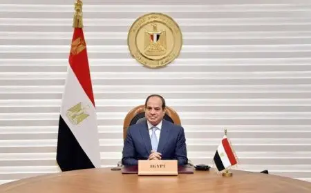 القومي لحقوق الإنسان يرحب بالعفو الرئاسي عن علاء عبدالفتاح وعدد من المحكوم عليهم