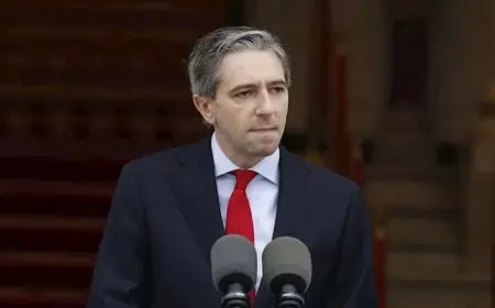 وزير الخارجية الأيرلندي: الاعتراف بالدولة الفلسطينية ليس كافيا