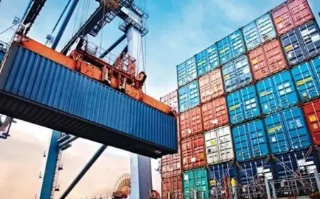 الحكومة تسعى إلى اختيار 7 دول رئيسية كمرحلة أولى لتغطية الأسواق الإفريقية