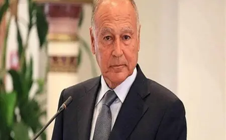 أبو الغيط: من الوارد طلب العضوية الدائمة لفلسطين في الأمم المتحدة