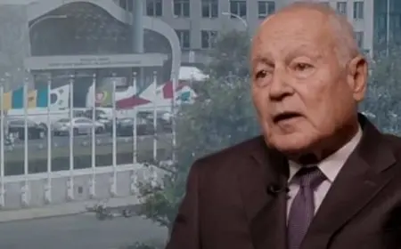 أبو الغيط: على العرب استثمار الزخم الكبير الذي تشهده القضية الفلسطينية