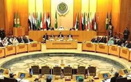 رئيس بعثة الجامعة العربية بالأمم المتحدة: 10 إلى 13 دولة ستعترف بدولة فلسطين بمؤتمر حل الدولتين